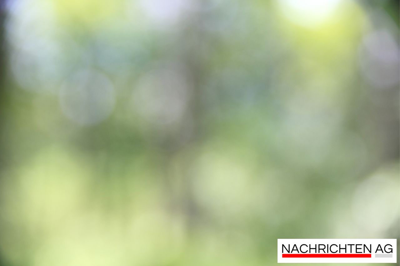 Neue Kleinannahmestelle in Pritzwalk: Modern und benutzerfreundlich!