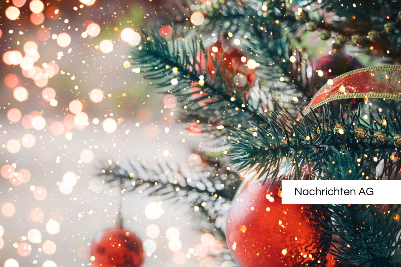 Calau sucht den perfekten Weihnachtsbaum für festliche Markttradition!