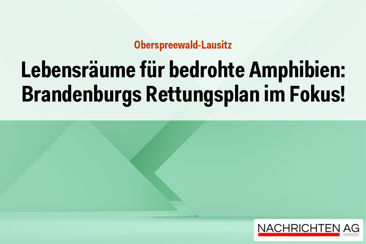Lebensräume für bedrohte Amphibien: Brandenburgs Rettungsplan im Fokus!