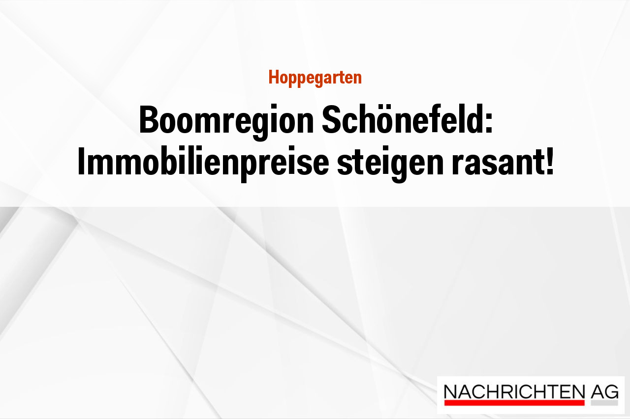 Boomregion Schönefeld: Immobilienpreise steigen rasant!