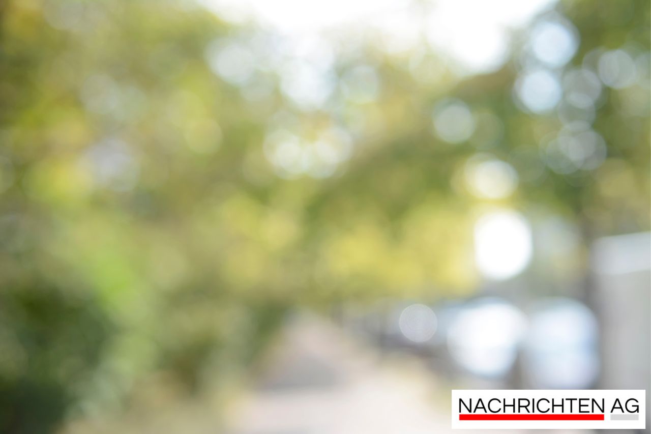 Elke Velten-Tönnies: Vom Juwelier zur Star-Händlerin bei „Bares für Rares“!