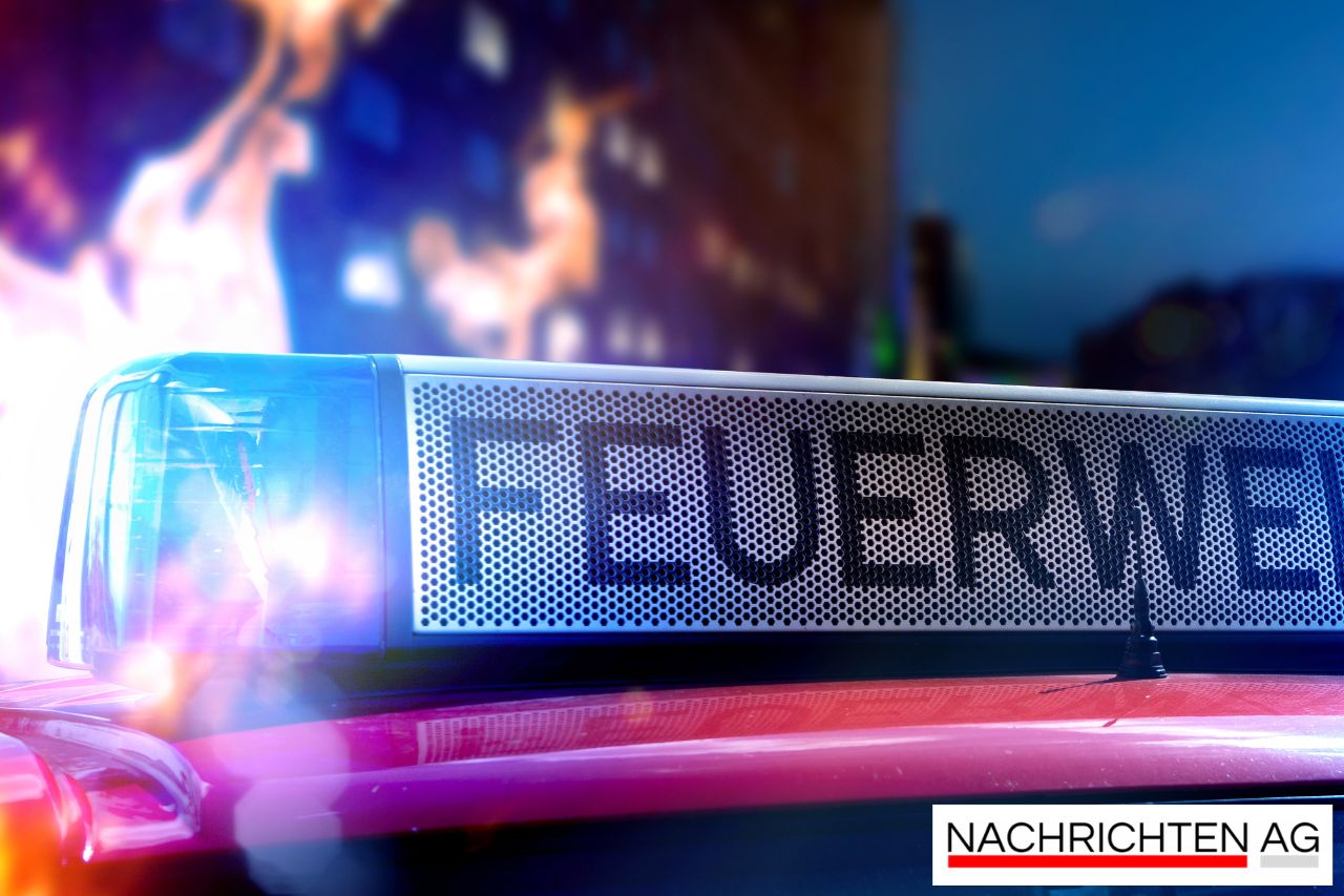 Reh in der Spree: Feuerwehr kann nur noch bergen – Tragischer Einsatz!